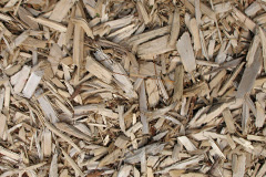 biomass boilers Acton Pigott